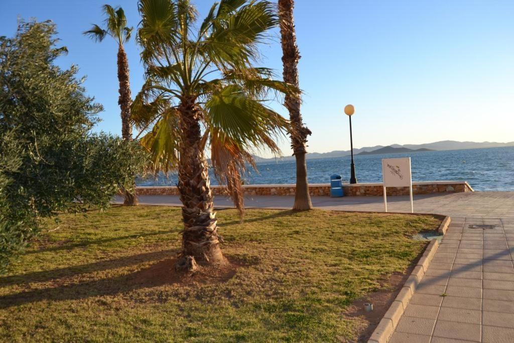 לה מנגה דל מר מנור Apartamentos Turisticos Puerto Tomas Maestre מראה חיצוני תמונה
